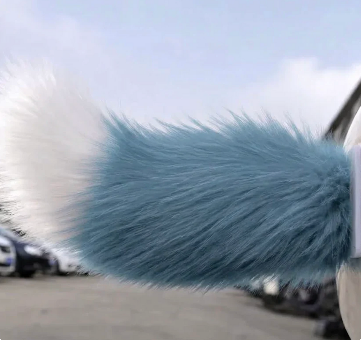 RideTail™ FoxMotion